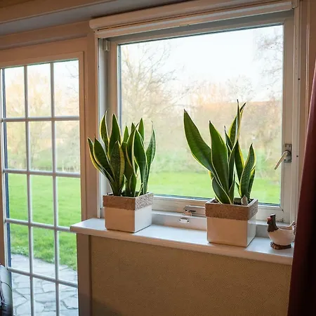 De Twee Zwaluwen Apartment