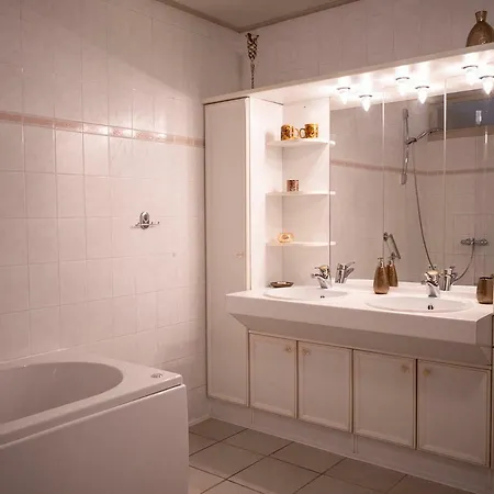 De Twee Zwaluwen Apartment Leerdam