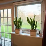 De Twee Zwaluwen Appartement